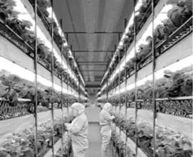 高考地理试卷硬件的匠心设计 以2016年合肥一中一模文综地理为例